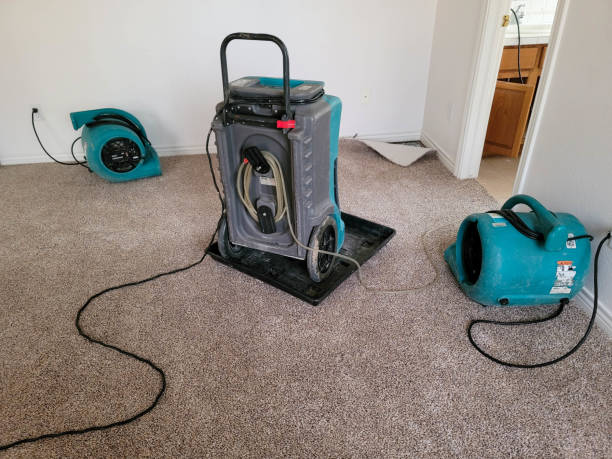 Reliable Fords, NJ Water damage restoration Solutions