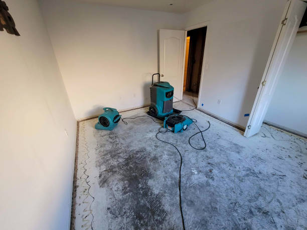 Best Water damage restoration near me  in Fords, NJ
