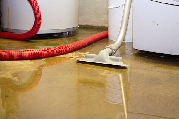 Best Water damage restoration near me  in Fords, NJ