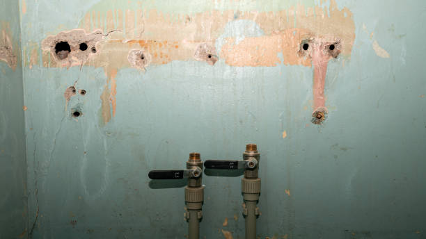 Best 24-hour water damage restoration  in Fords, NJ