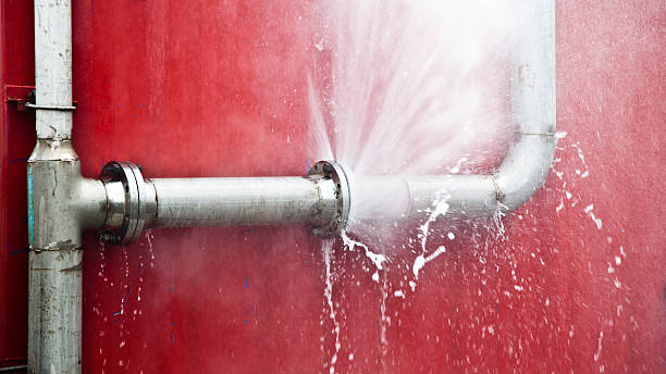 Best Mold removal after water damage  in Fords, NJ